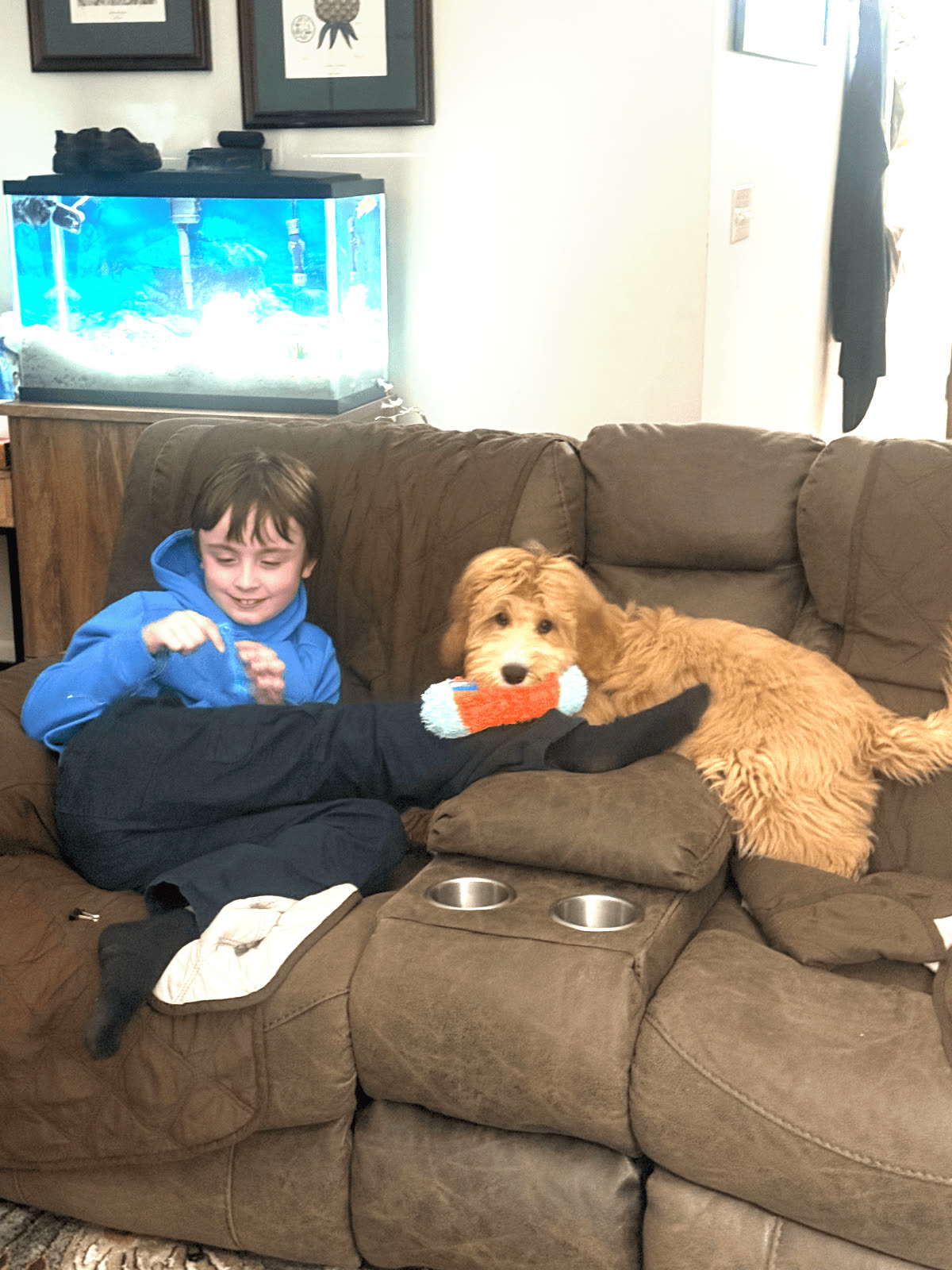 A child and dog relaxing together on a couch